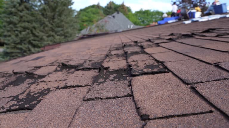 Best Gutter Installation and Repair  in North Liberty, IN